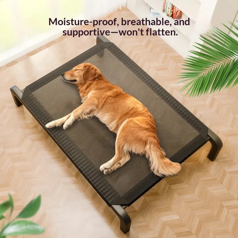 Elevated Dog Lounge Bed With Breathable Mesh Surface