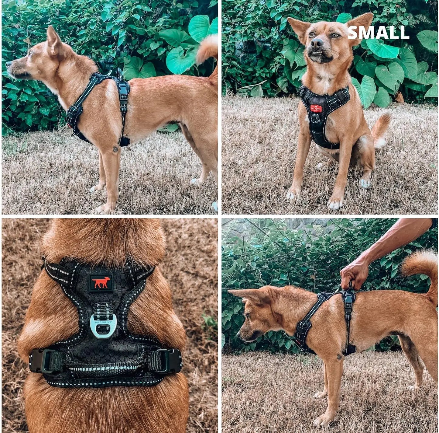 No Pull Dog Harness with Front and Back Clips, Heavy Duty Pet Vest with Handle, Reflective Padded Harness for Small Dogs