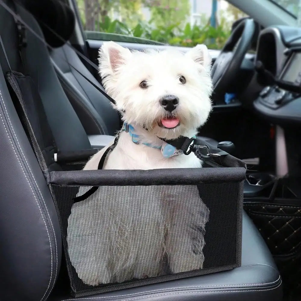 Portable Elevated Dog Booster Car Seat With Adjustable Safety Strap