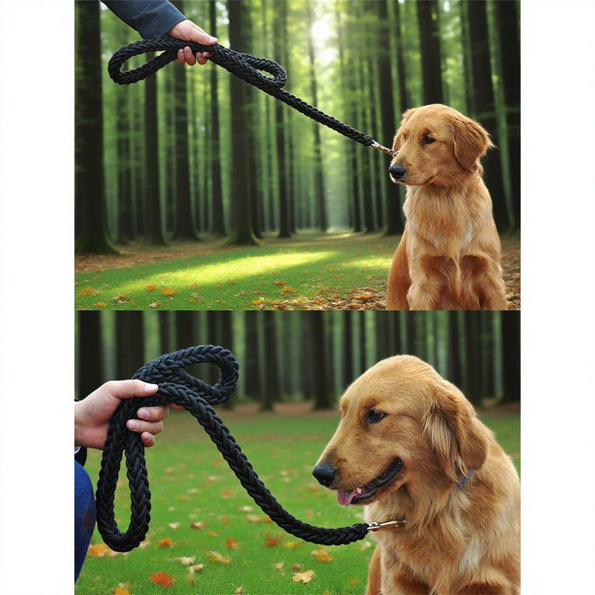 Durable Nylon Outdoor Dog Leash Designed For Safe Everyday Walking