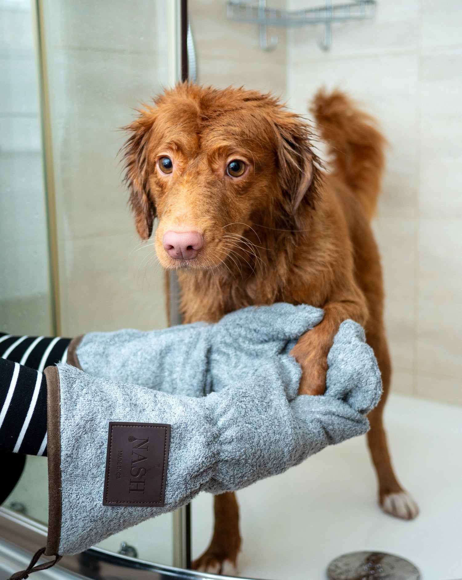 Grooming Supplies