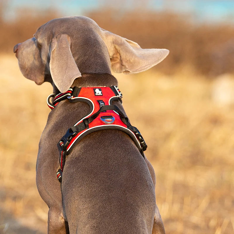 TrueLove Reflective No Pull Dog Harness Adjustable For Outdoor Walking