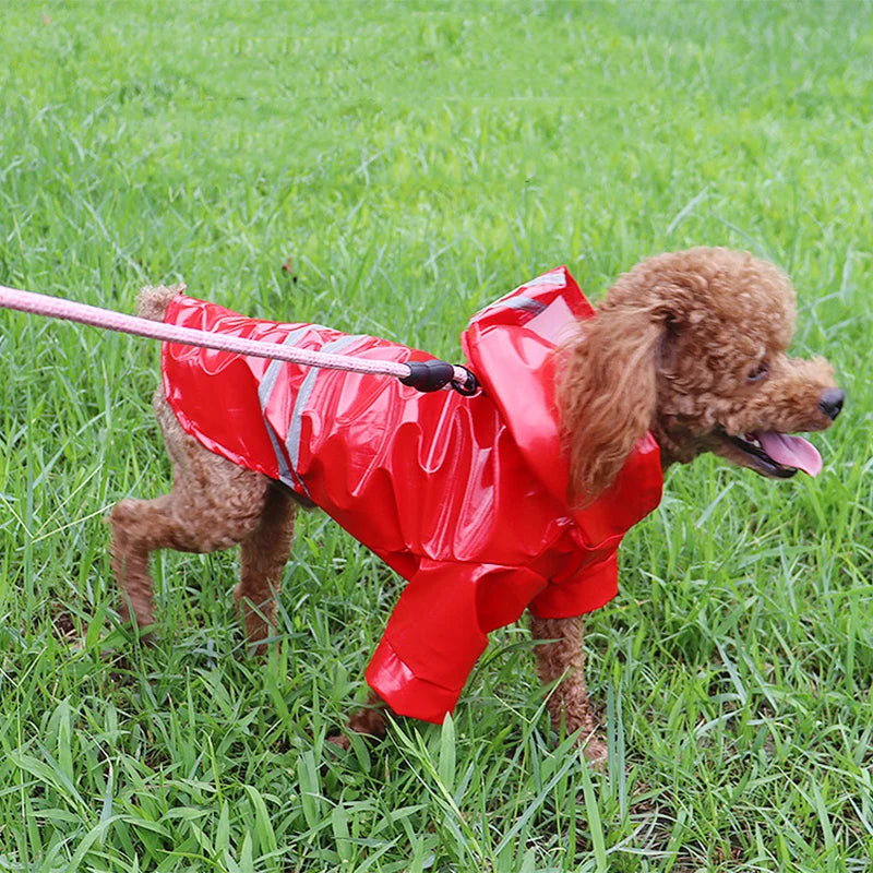 Waterproof Dog Raincoat With Hood For Dogs And Cats