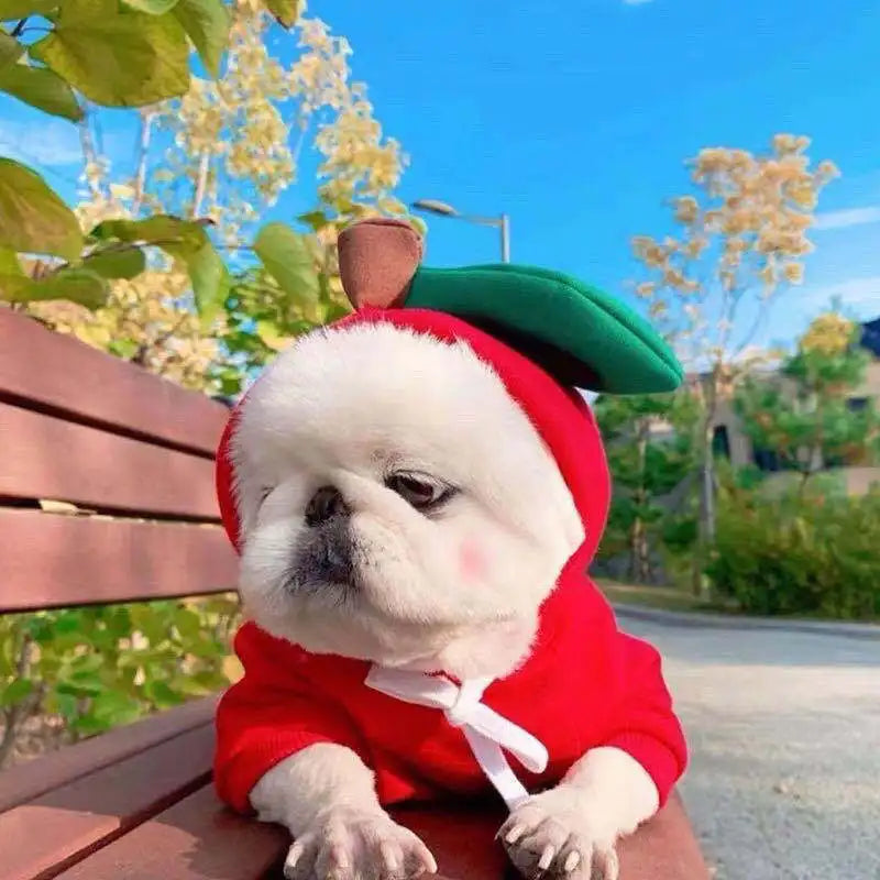 Cute Fruit Frog Pet Hoodie Costume For Dogs And Cats