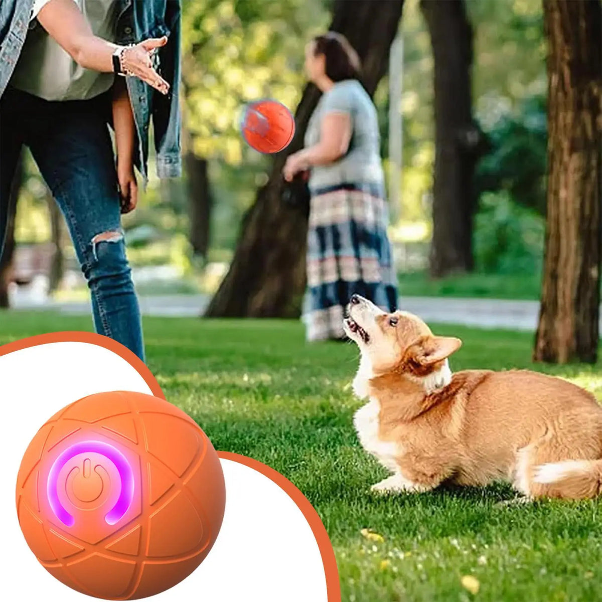 Interactive Plush Dog Toy For Aggressive Chewers And Engaging Play