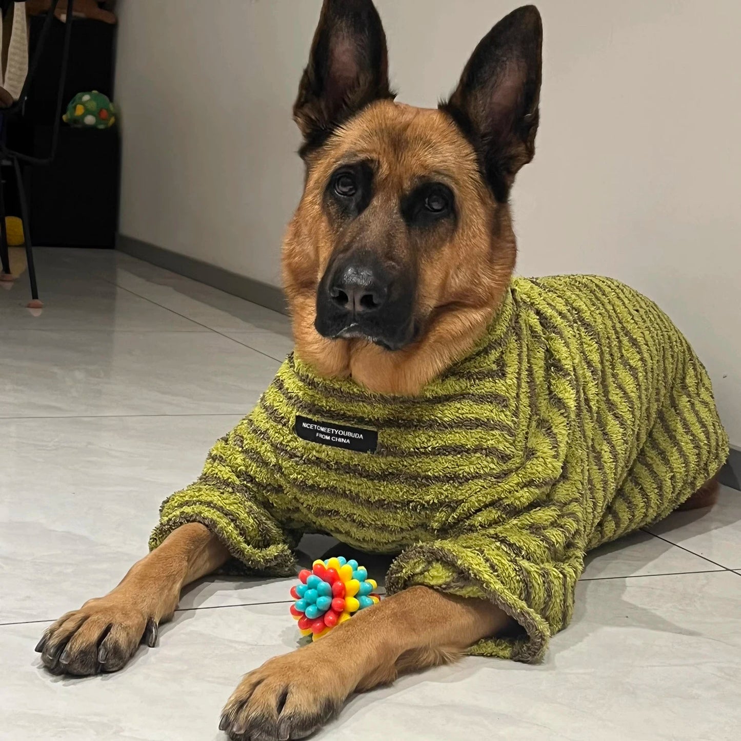 Hoopreety Stripe Cotton Dog Sweater Turtleneck
