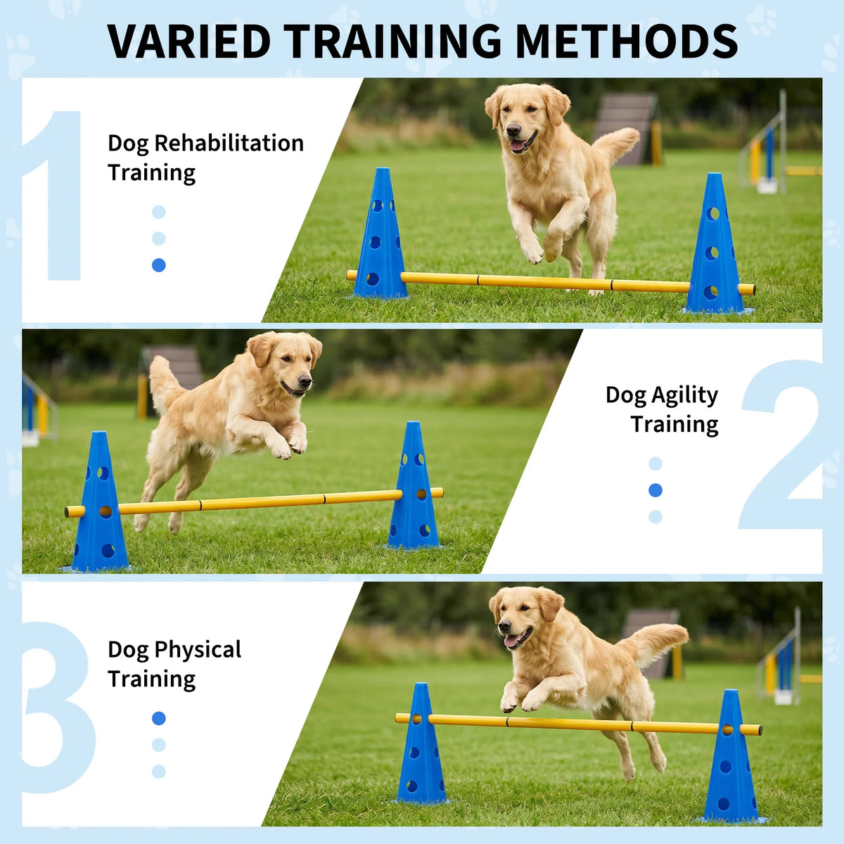 Dog Agility Training Cones And Rods Set With Adjustable Hurdles