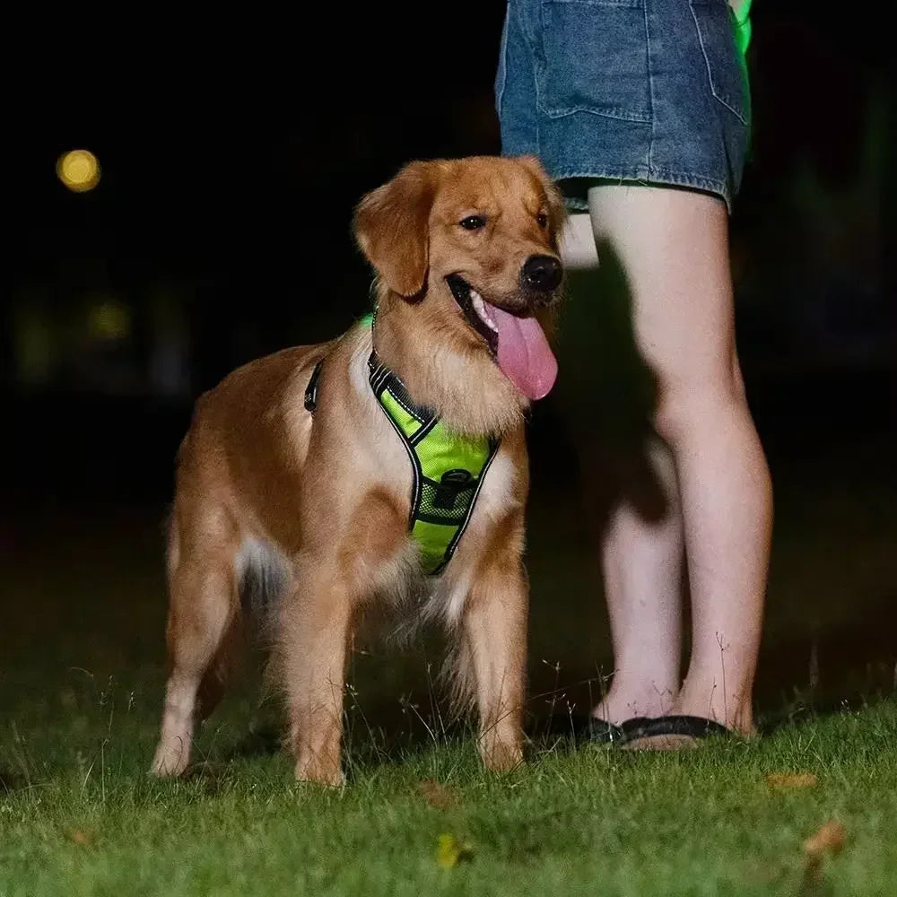 Durable Light Up LED Dog Harness Adjustable Rechargeable Luminous Pet Chest Strap Soft Flashing Dog Glow Vest Cats Pet