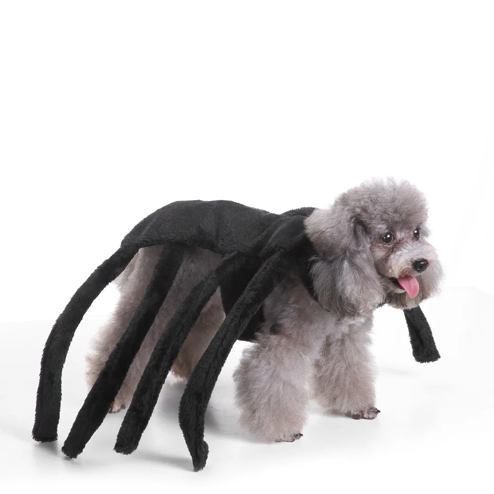 Halloween Pet Witch Costume With Hat For Cats And Dogs