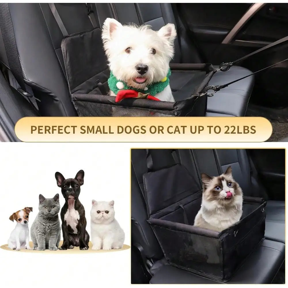 Portable Elevated Dog Booster Car Seat With Adjustable Safety Strap