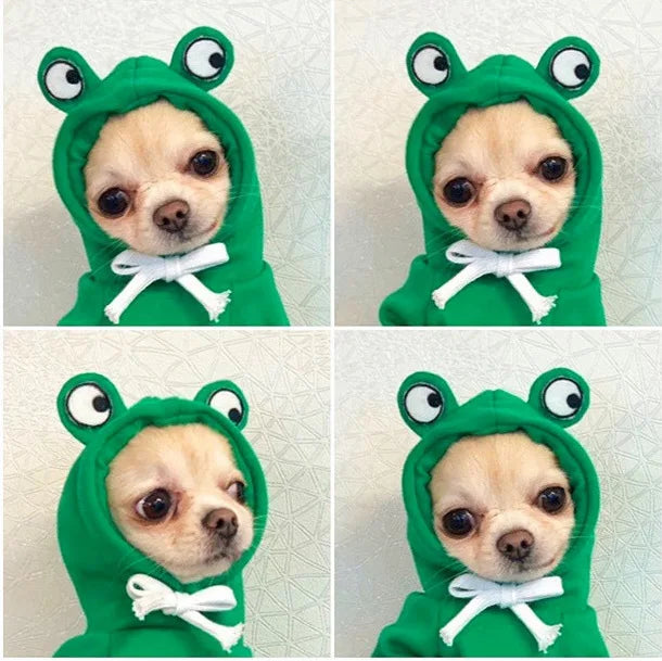 Cute Fruit Frog Pet Hoodie Costume For Dogs And Cats