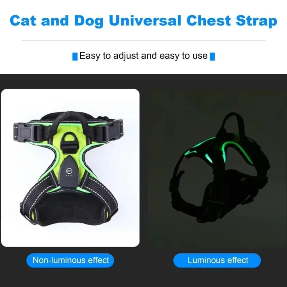 Durable Light Up LED Dog Harness Adjustable Rechargeable Luminous Pet Chest Strap Soft Flashing Dog Glow Vest Cats Pet