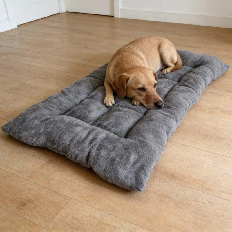 Booteely Plush Dog Bed Sofa Thickened Super Soft Polyester Mat