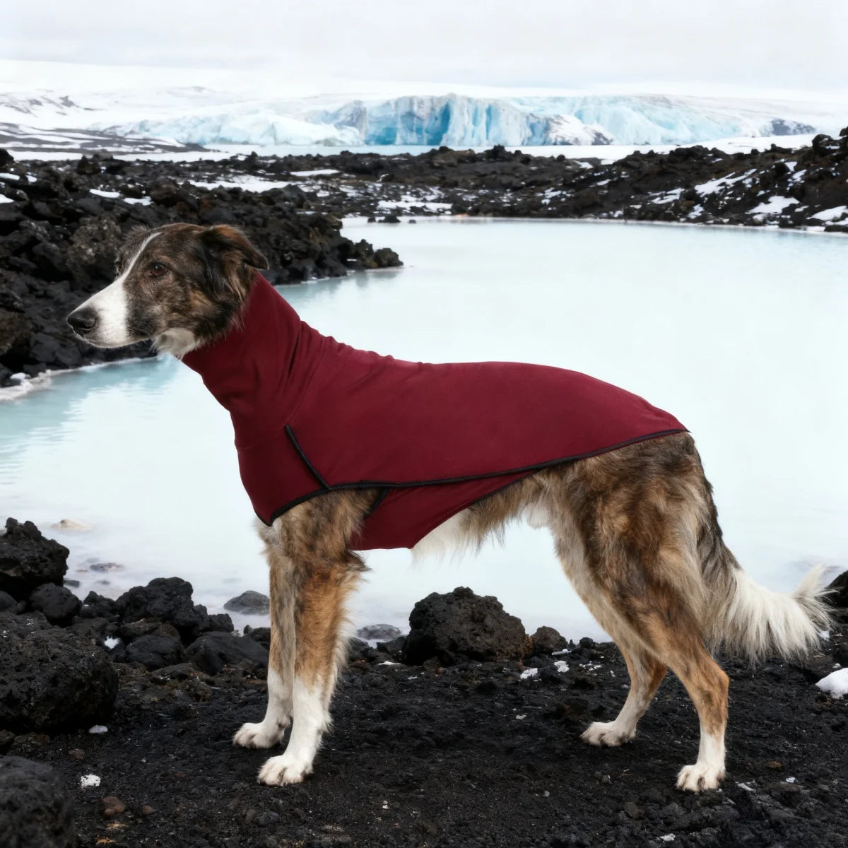 Fleece Dog Winter Coat Turtleneck Onesie Pet Apparel