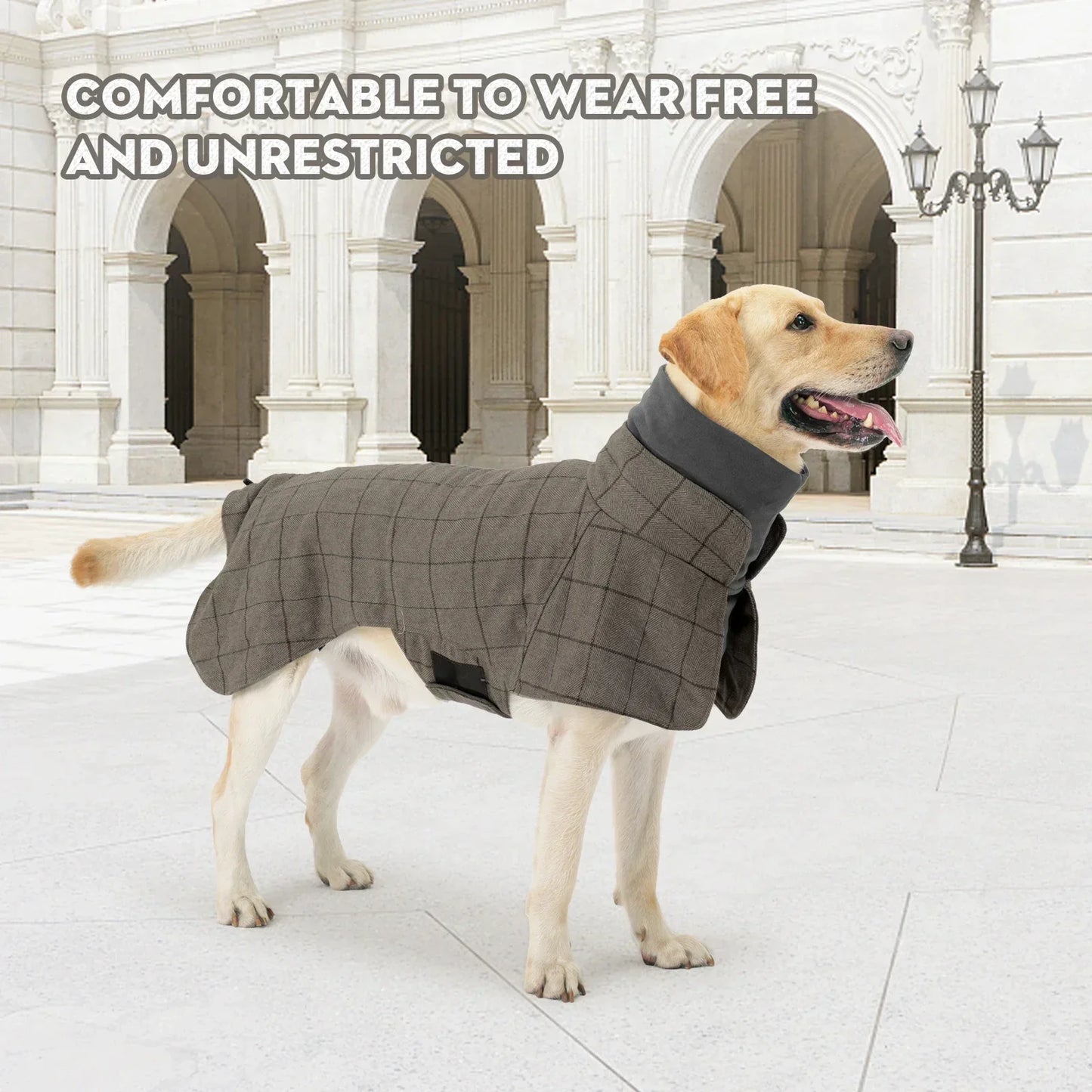 Waterproof Windproof Plaid Dog Jacket British Style Winter