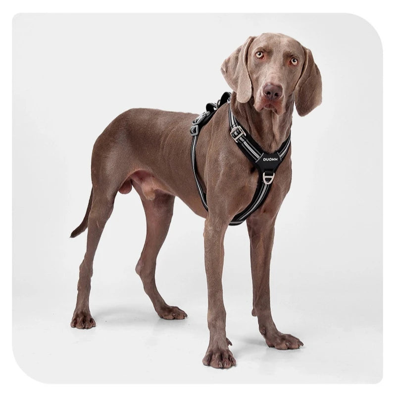Anti Pull Dog Harness Leash Set Reflective Wear Resistant Soft