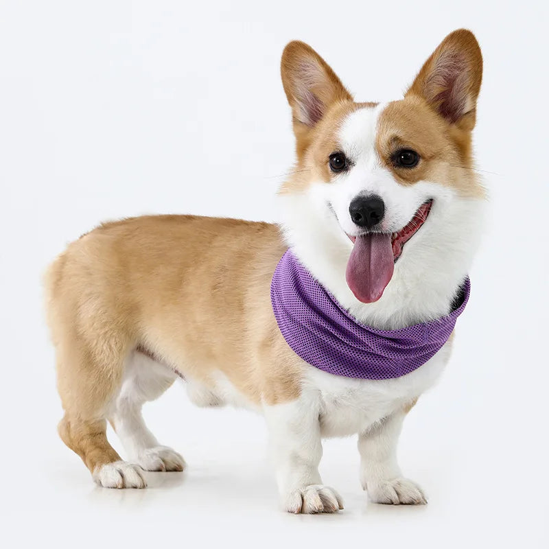 Ice Silk Mesh Dog Cooling Neck Gaiter For Summer Walking