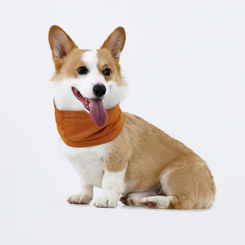 Ice Silk Mesh Dog Cooling Neck Gaiter For Summer Walking