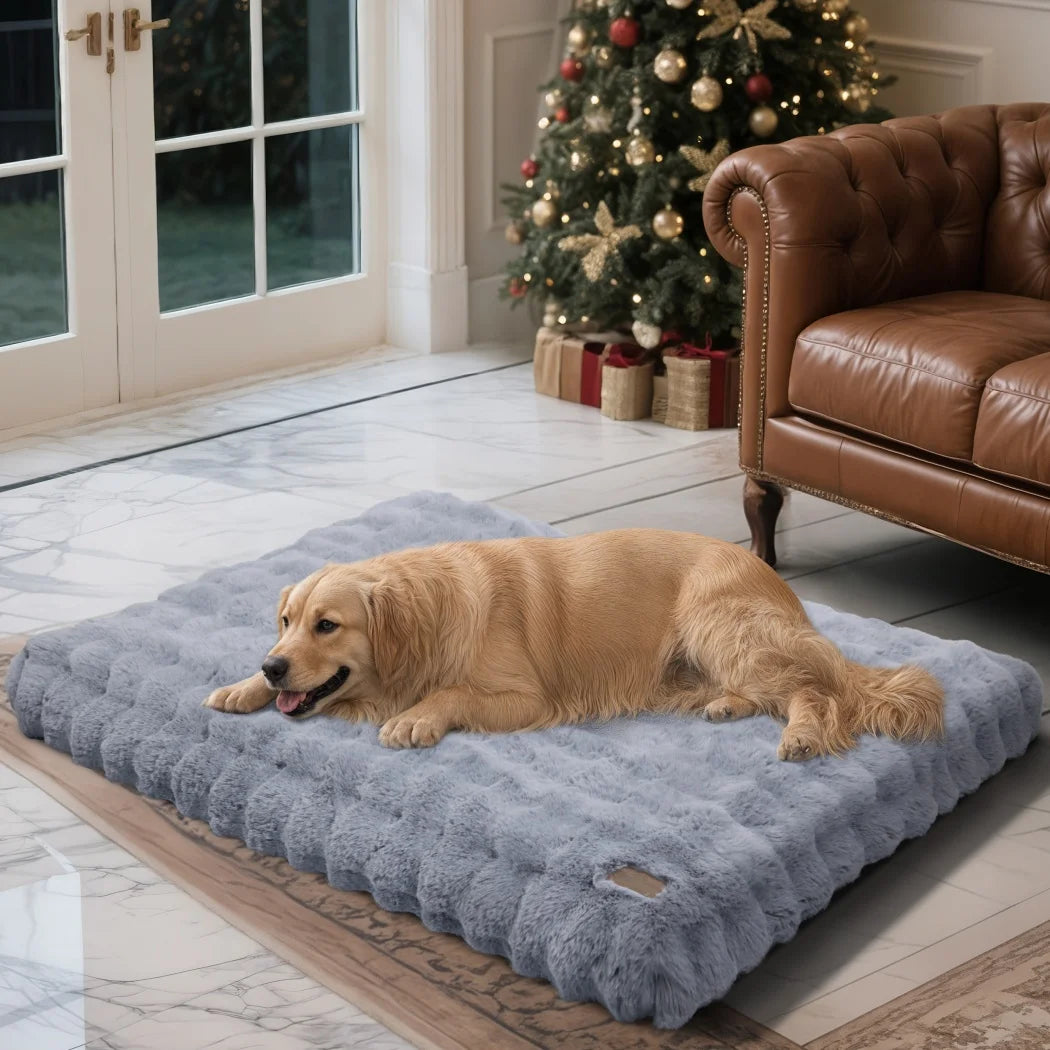 Borwart Ultra Plush Washable Dog Bed With Removable Cover