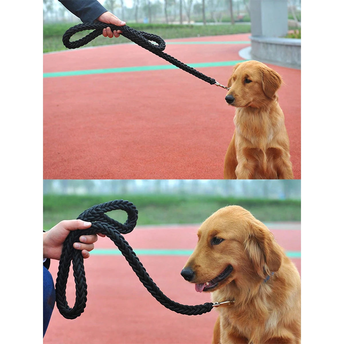 Durable Nylon Outdoor Dog Leash Designed For Safe Everyday Walking