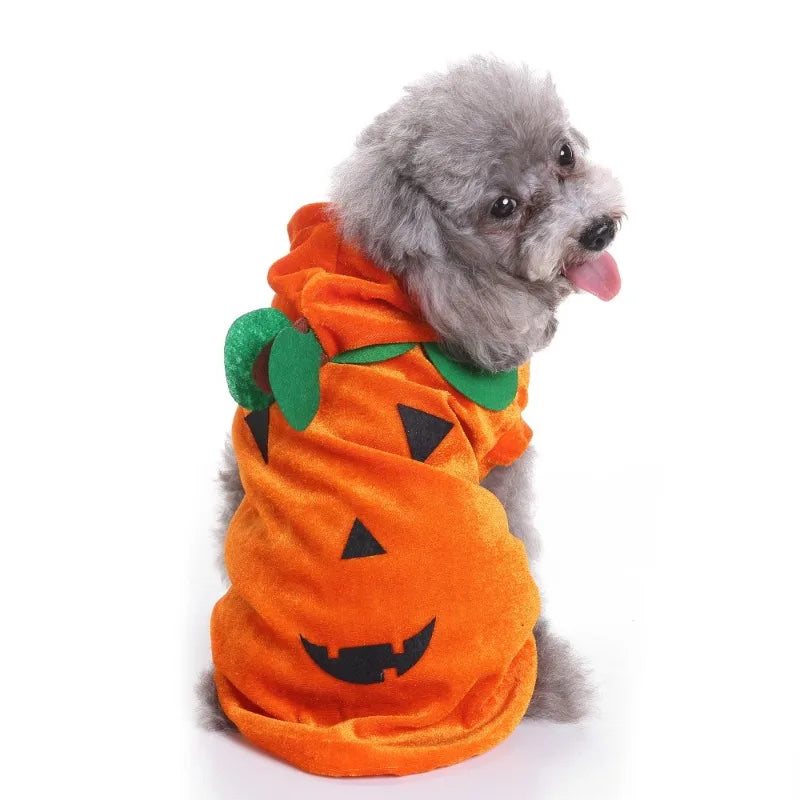 Halloween Pet Witch Costume With Hat For Cats And Dogs
