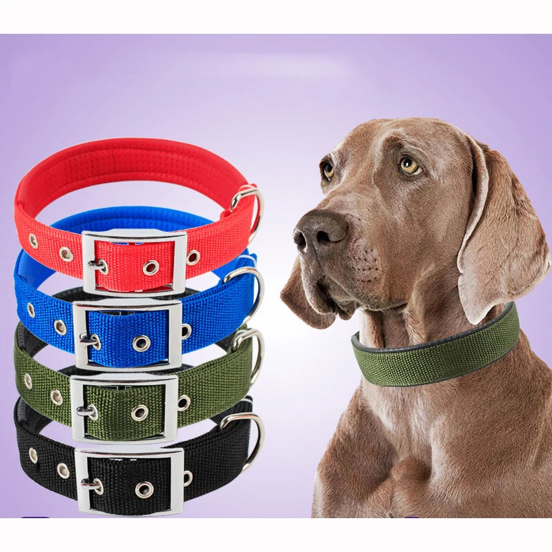 Solid Nylon Dog Collar for Comfortable Everyday Pet Wear