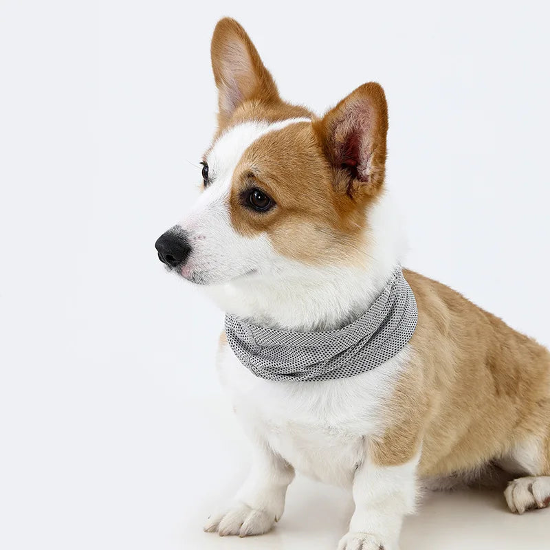 Ice Silk Mesh Dog Cooling Neck Gaiter For Summer Walking
