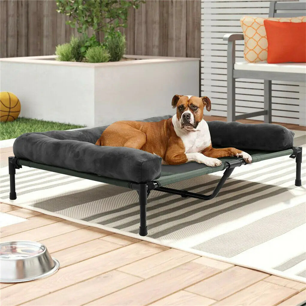 Bingopaw Elevated Outdoor Indoor Dog Bed With Detachable Plush Bolster