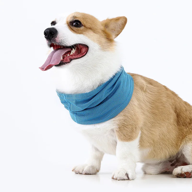 Ice Silk Mesh Dog Cooling Neck Gaiter For Summer Walking