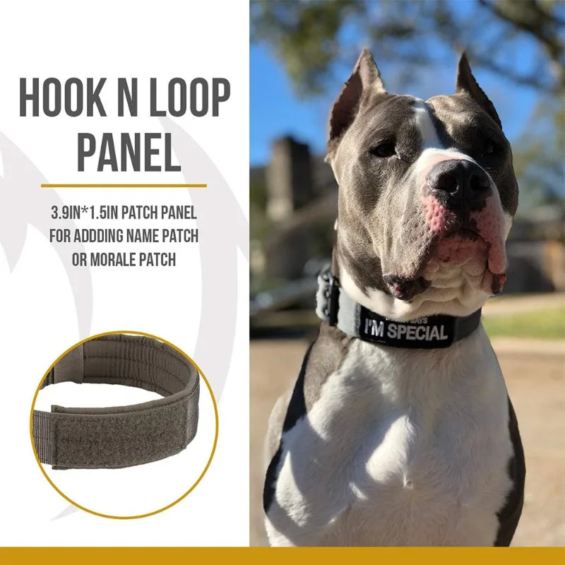 Nylon Dog Collar Adjustable Quick Release Reflective