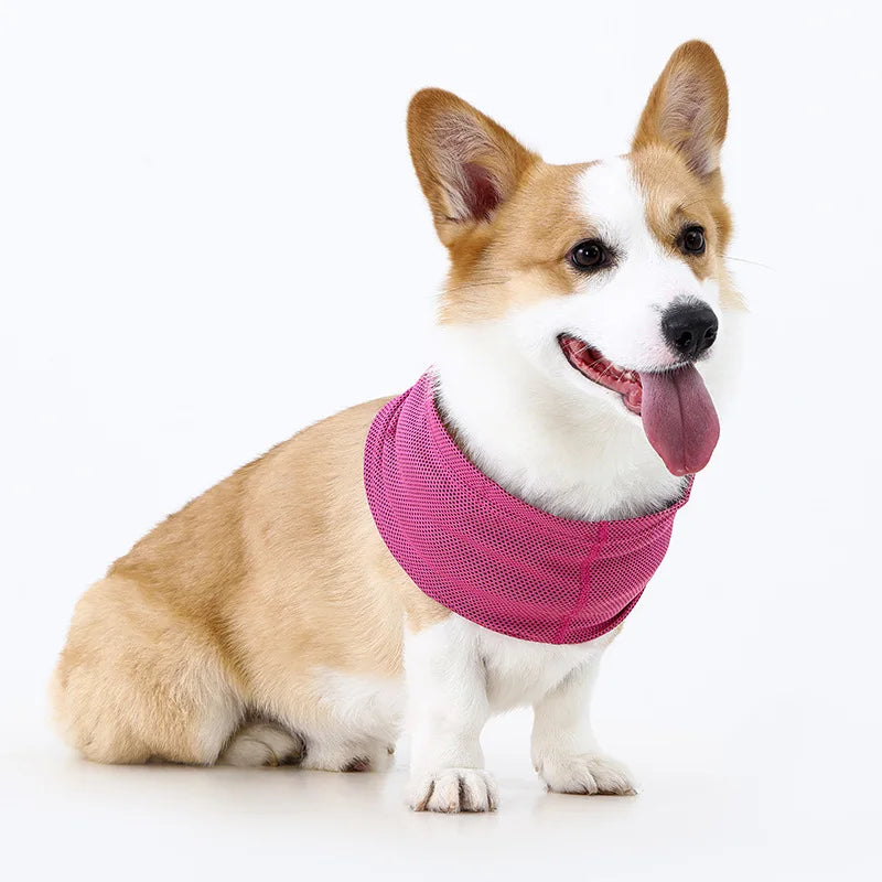 Ice Silk Mesh Dog Cooling Neck Gaiter For Summer Walking