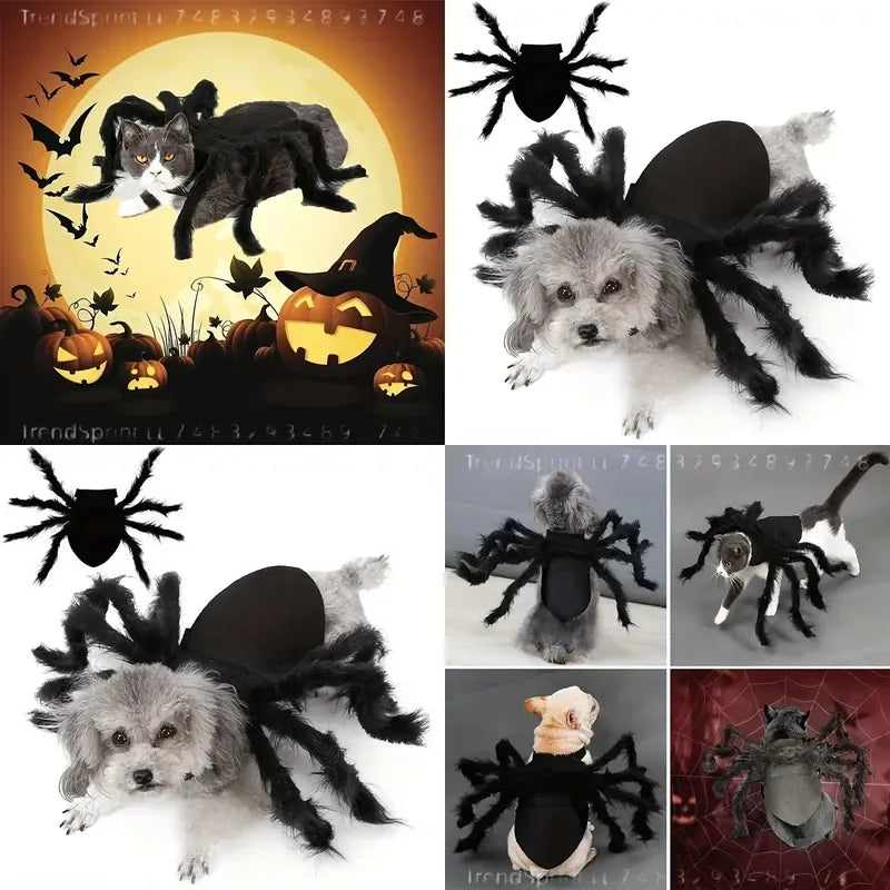 Pet Spider Halloween Costume Outfit for Cats and Dogs