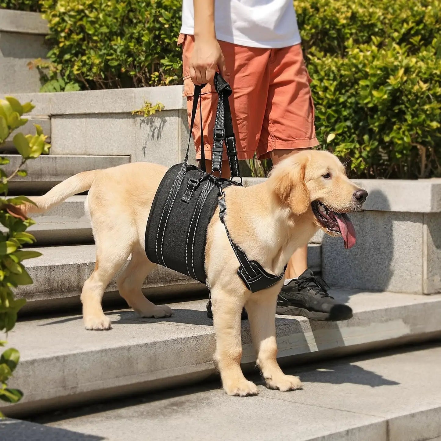 Dog Lift Harness Sling for Senior Dogs with Arthritis, Adjustable Pet Carrier for Post-Surgery Recovery and Stairs Assistance