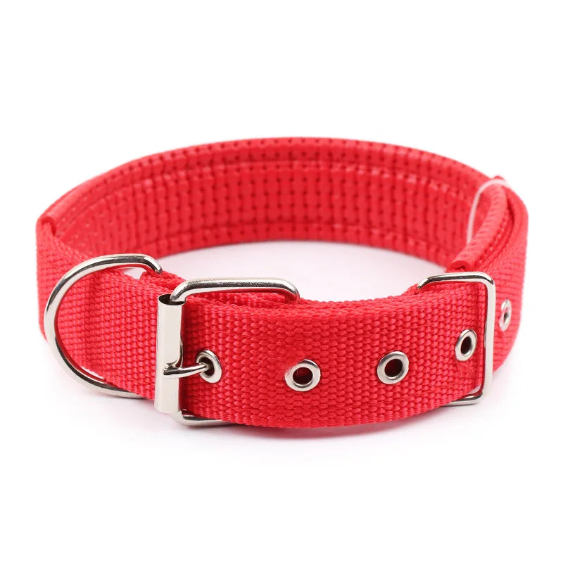 Solid Nylon Dog Collar for Comfortable Everyday Pet Wear