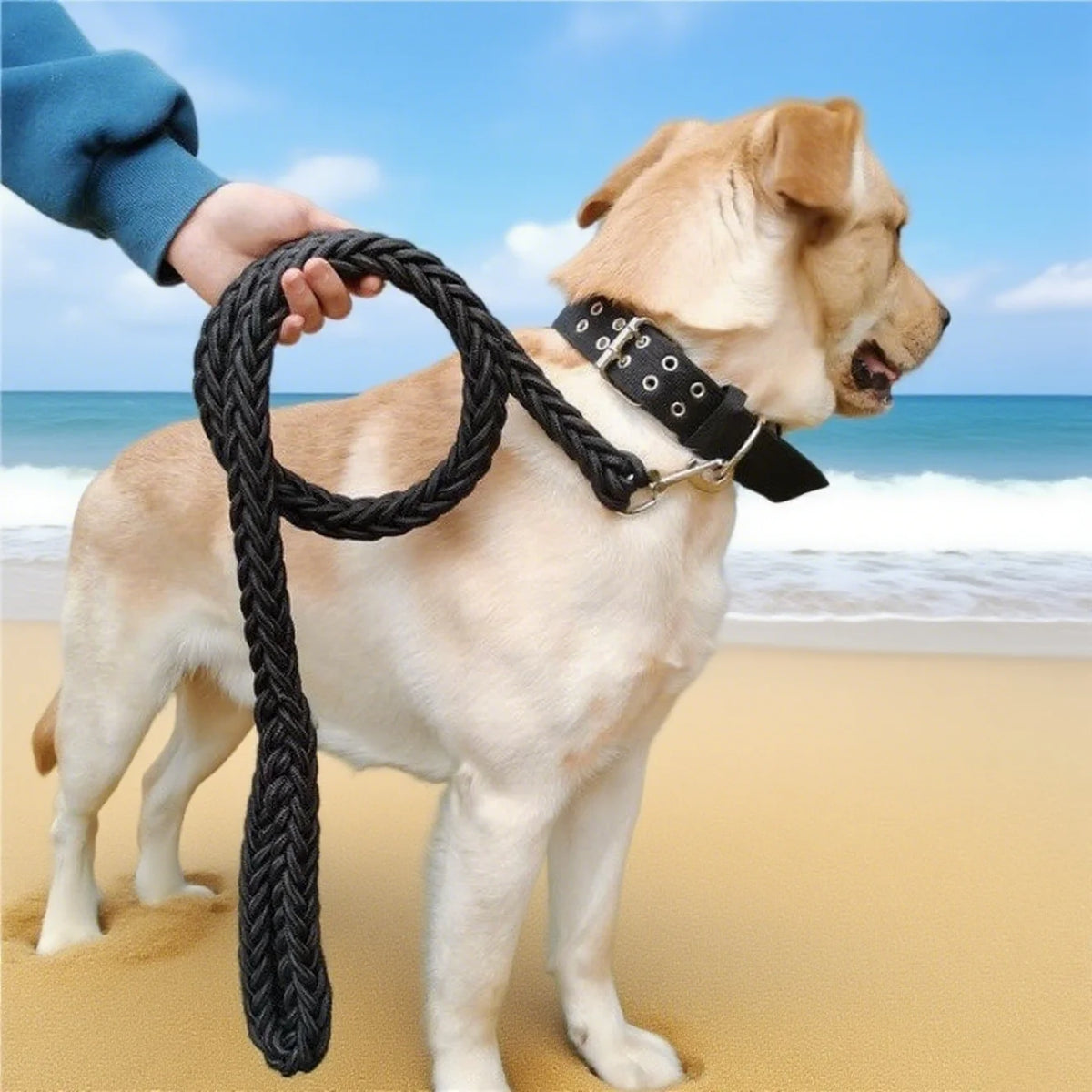 Durable Nylon Outdoor Dog Leash Designed For Safe Everyday Walking