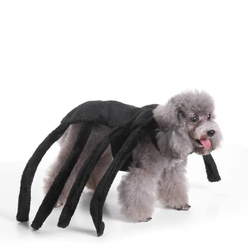 Halloween Pet Witch Costume With Hat For Cats And Dogs