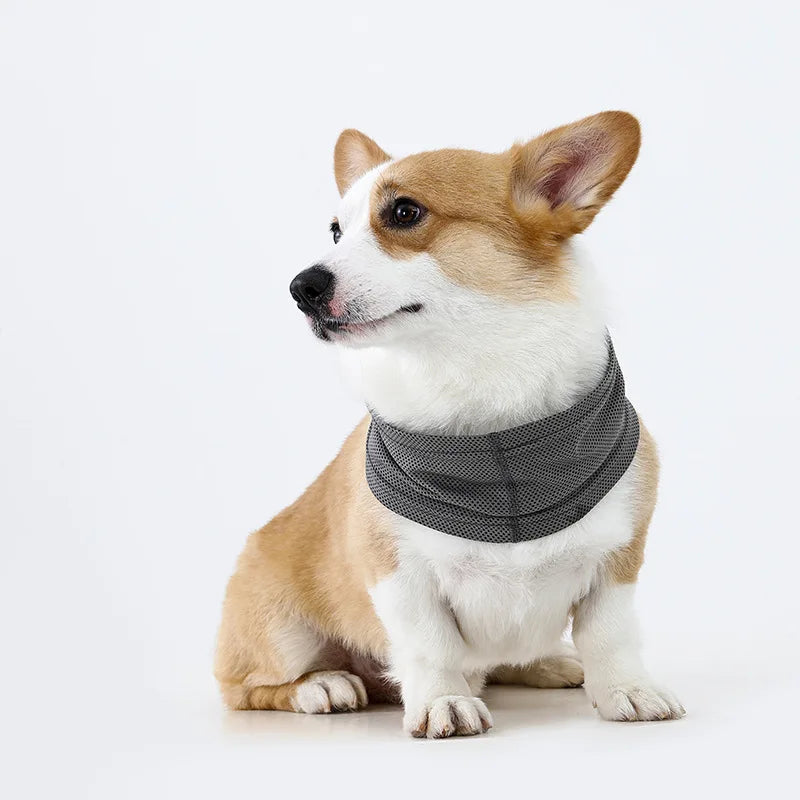 Ice Silk Mesh Dog Cooling Neck Gaiter For Summer Walking