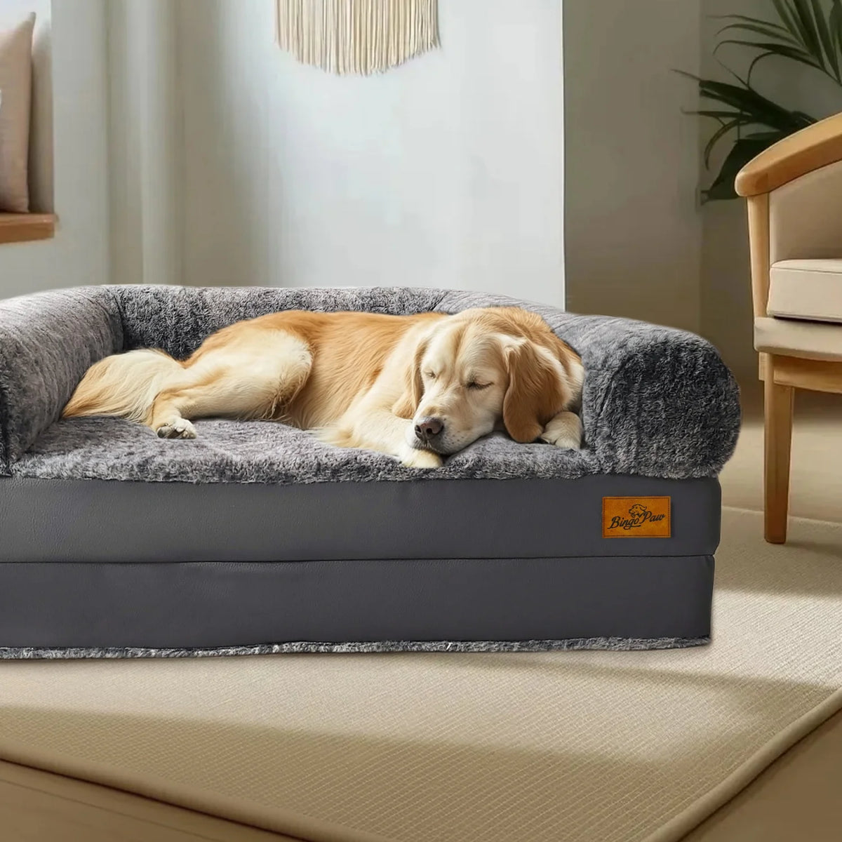 BINGOPAW Human Orthopedic Dog Bed With Removable Plush Cover