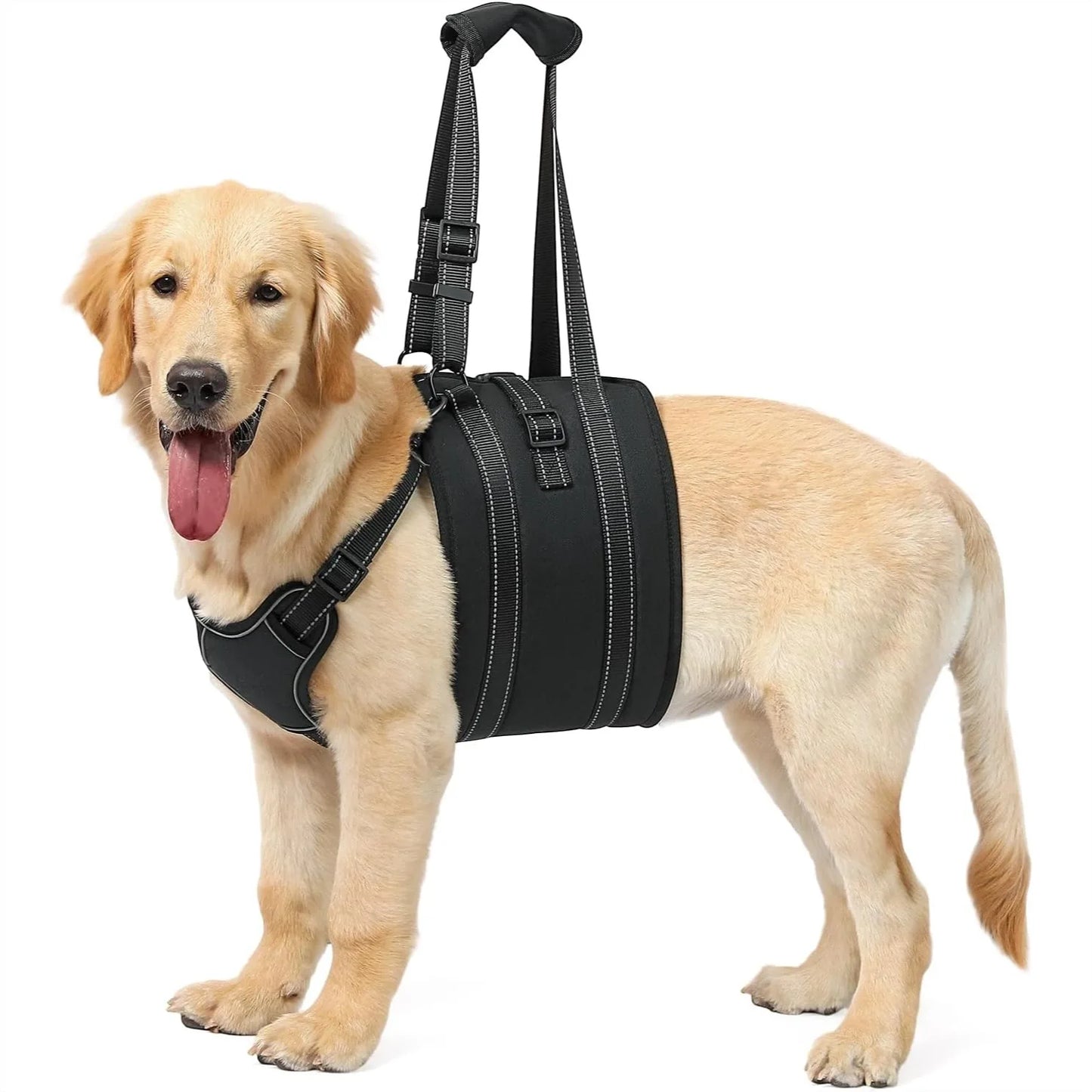 Dog Lift Harness Sling for Senior Dogs with Arthritis, Adjustable Pet Carrier for Post-Surgery Recovery and Stairs Assistance