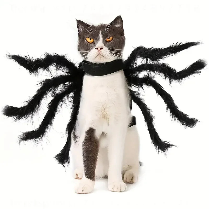 Pet Spider Halloween Costume Outfit for Cats and Dogs