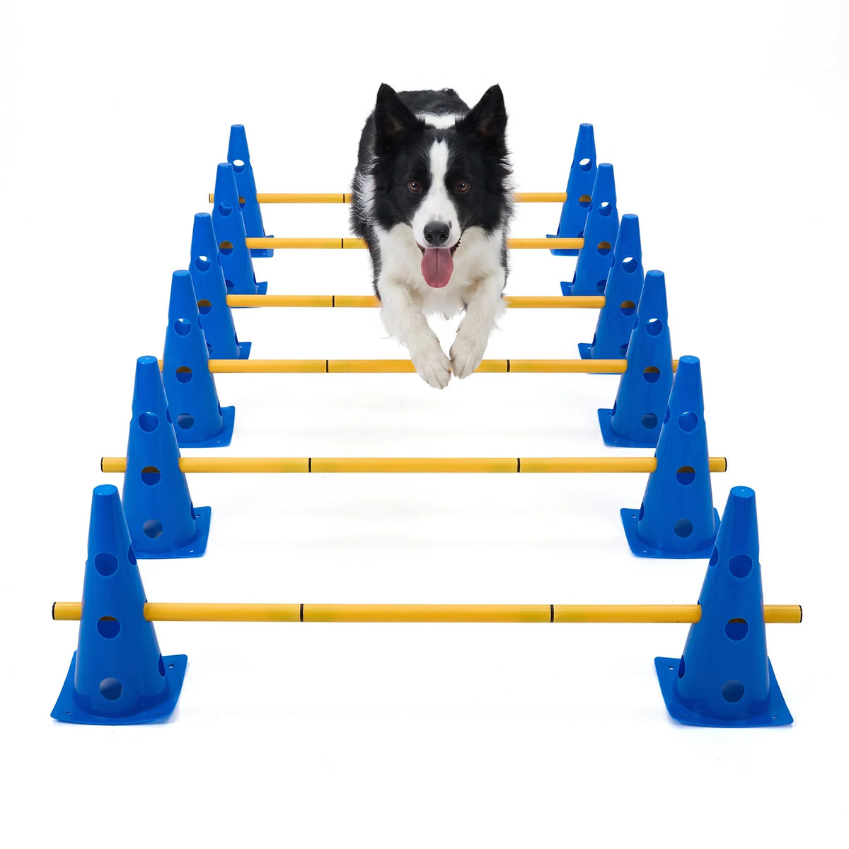 Dog Agility Training Cones And Rods Set With Adjustable Hurdles