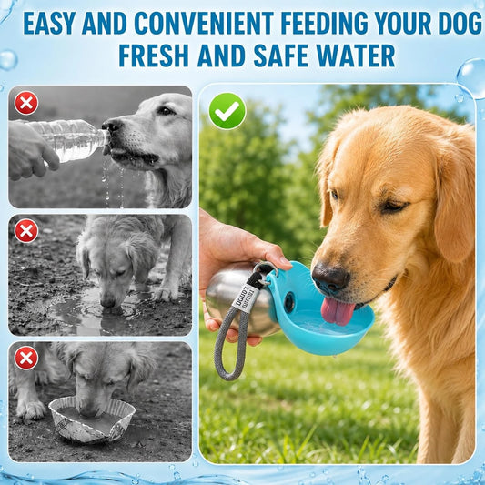 Portable Leak Proof Pet Water Dispenser Foldable Stainless Steel Bowl