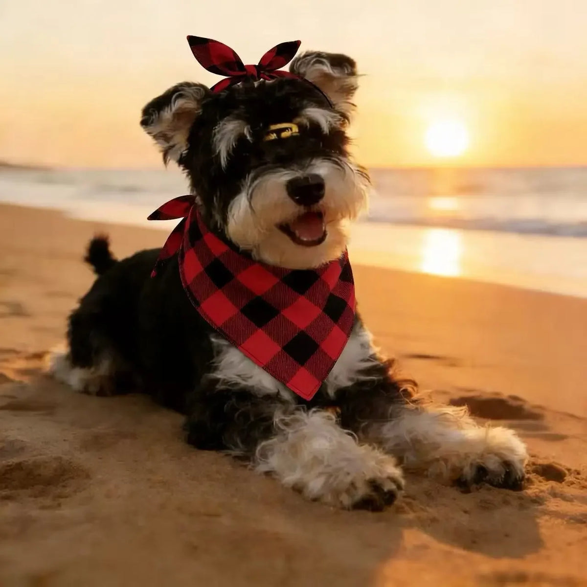 Washable Plaid Pet Scarves for Dogs and Cats Special Occasions
