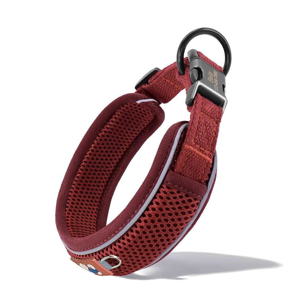 Personalized Reflective Mesh Dog Collar With Breathable Padded Comfort