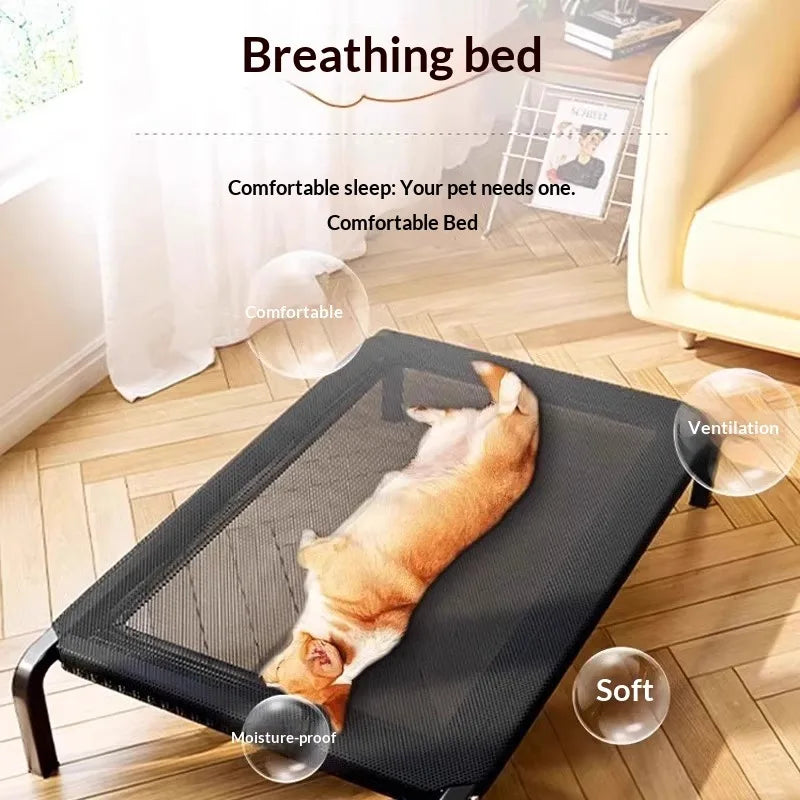 Elevated Dog Lounge Bed With Breathable Mesh Surface
