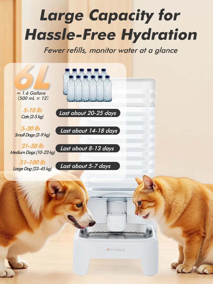 Elevated Gravity Pet Water Dispenser For Cats And Dogs