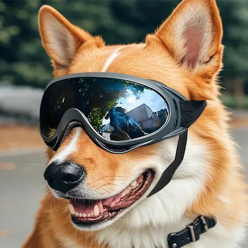 Adjustable Pet Goggles Anti UV Dog Sunglasses Outdoors