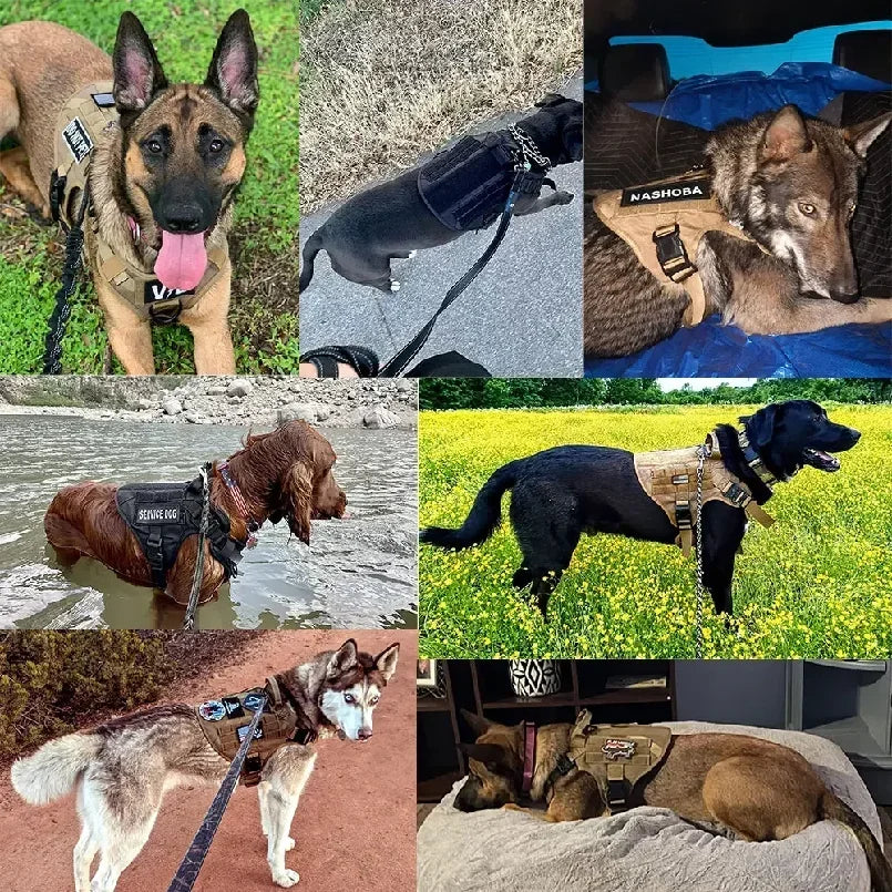 Tactical Dog Harness With Molle Pouches And Adjustable Vest