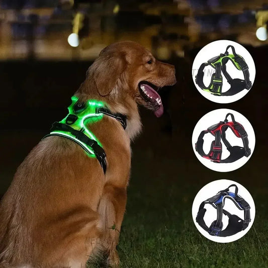 Durable Light Up LED Dog Harness Adjustable Rechargeable Luminous Pet Chest Strap Soft Flashing Dog Glow Vest Cats Pet