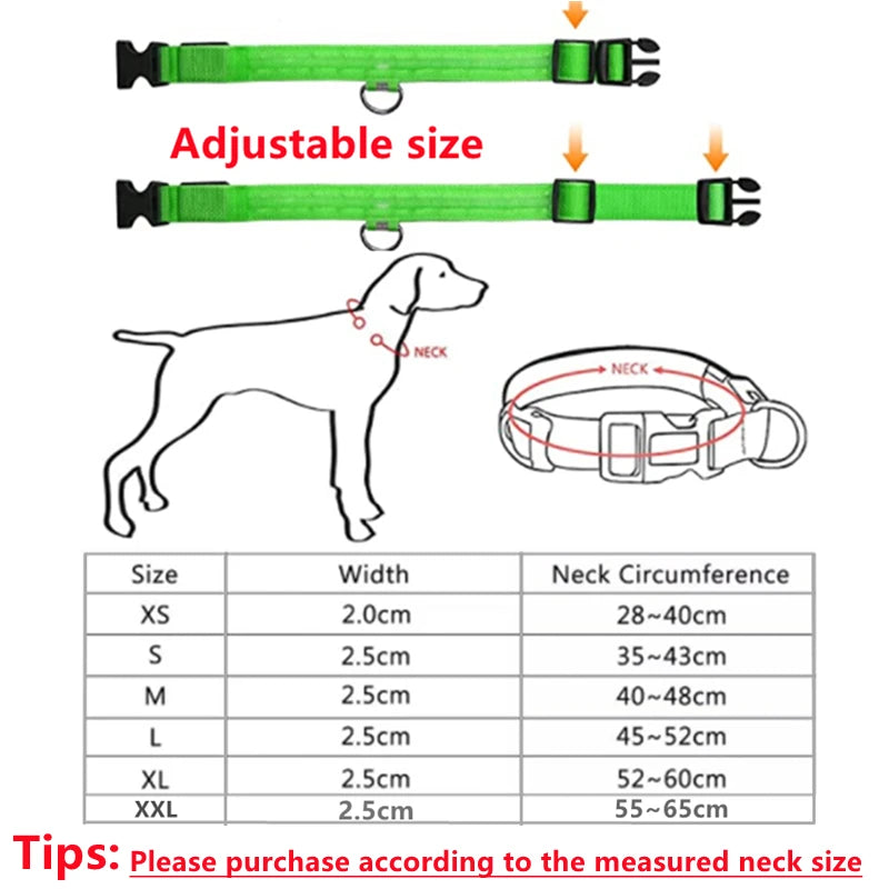 COOYOMOO USB Rechargeable Luminous Adjustable Dog Collar Night Light
